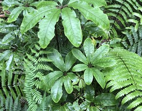 Seek - being happy for free